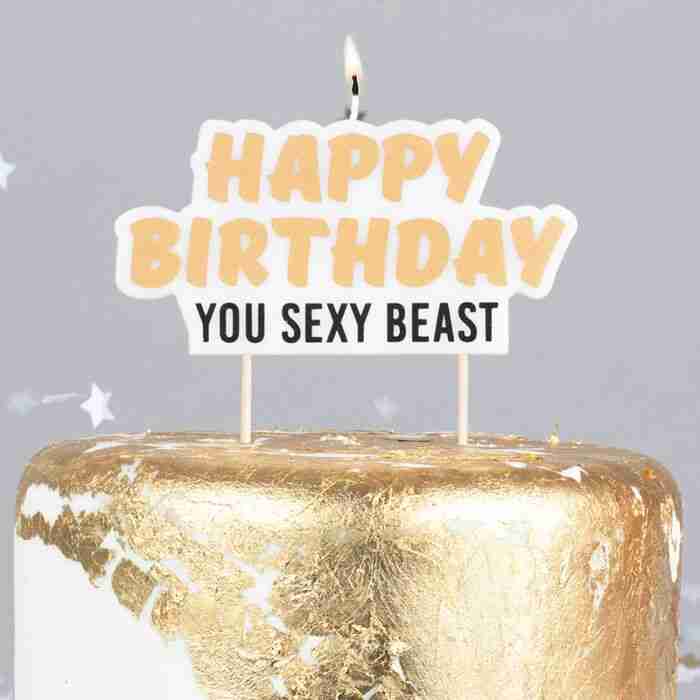 HAPPY BIRTHDAY YOU SEXY BEAST BIRTHDAY CAKE CANDLE