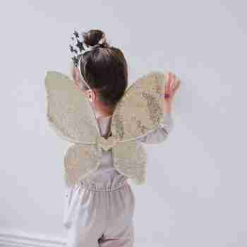 sparkly glitter wings gold 1