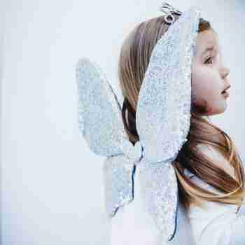 sparkly glitter wings silver 1