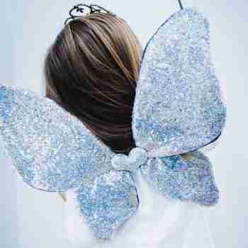 sparle glitter wings silver 2