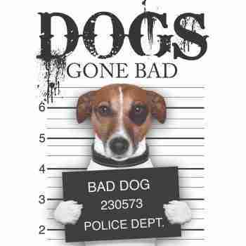 Dogs Gone Bad – Book